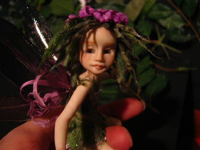 Fairy Fae Alga